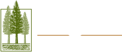 Sequoia Financial Logo